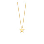 Ashes Necklace Star Small