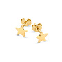 Franky's Treasure Star Earring Single Piece