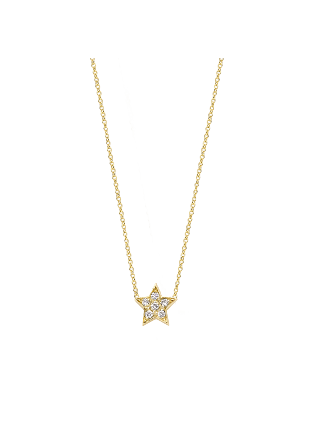 Franky's Treasure Star Diamond Necklace