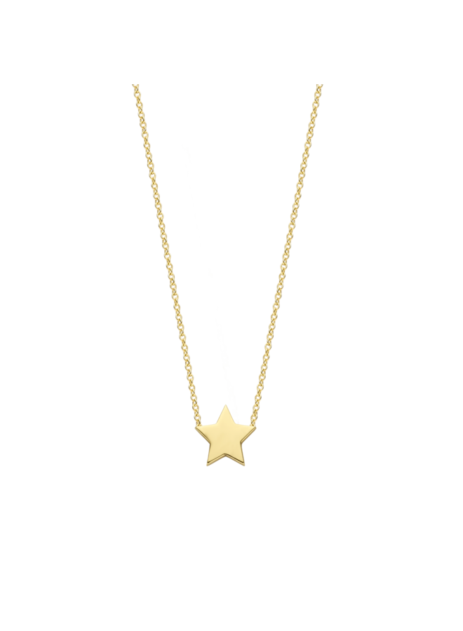Franky's Treasure Star Necklace
