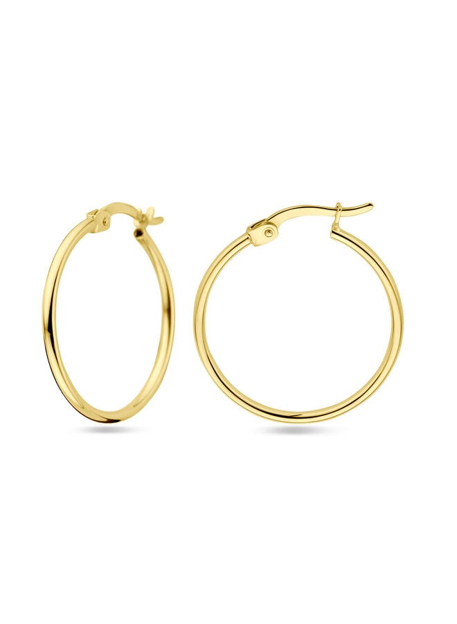 Iconic Small Earring 14K Goud