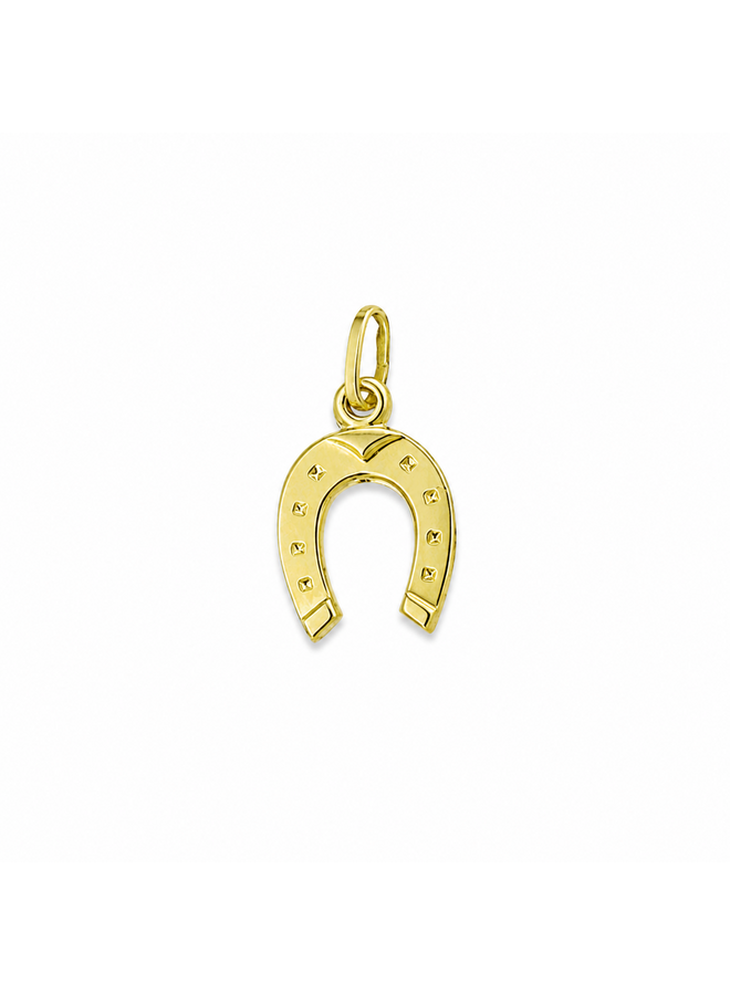 Charm Hoefijzer Bedel 14K Goud