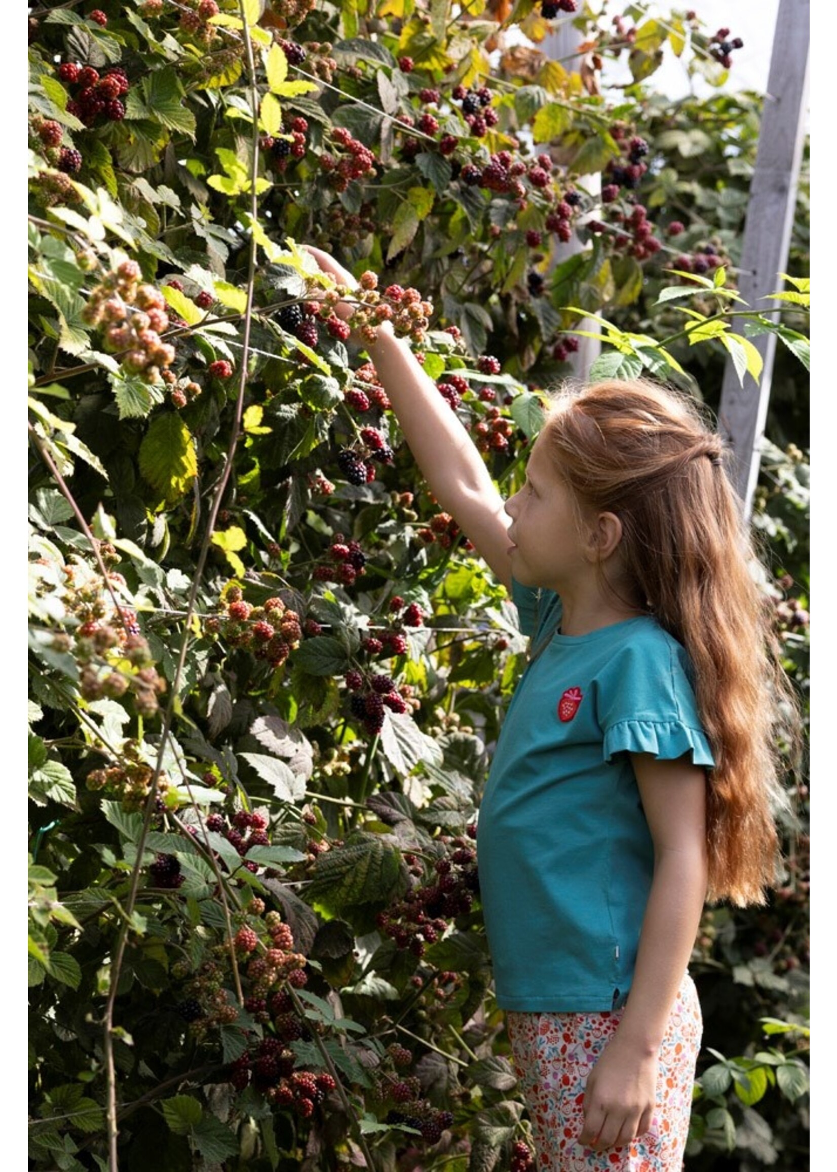 Jubel T-shirt - Berry Nice Groen