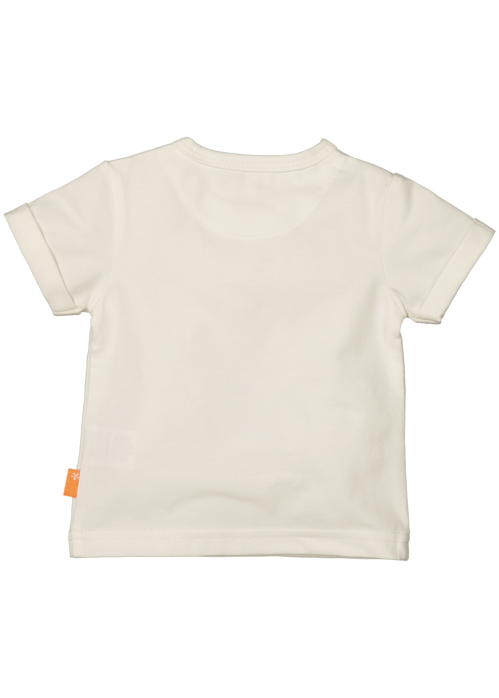 BESS Shirt sh.sl. Palm White