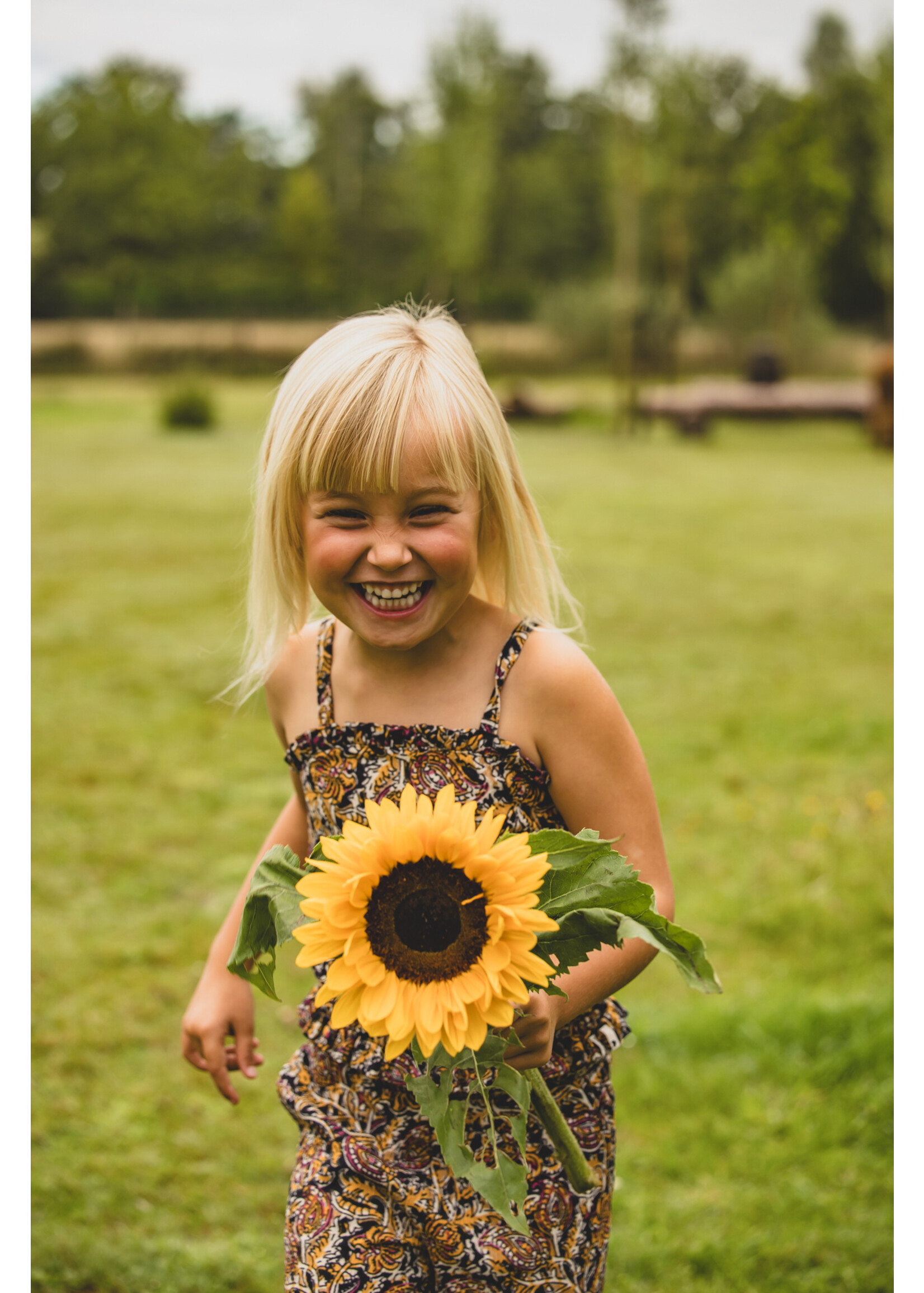 LOOXS Little Little crinkle top BLOCKPRINT FLOWER