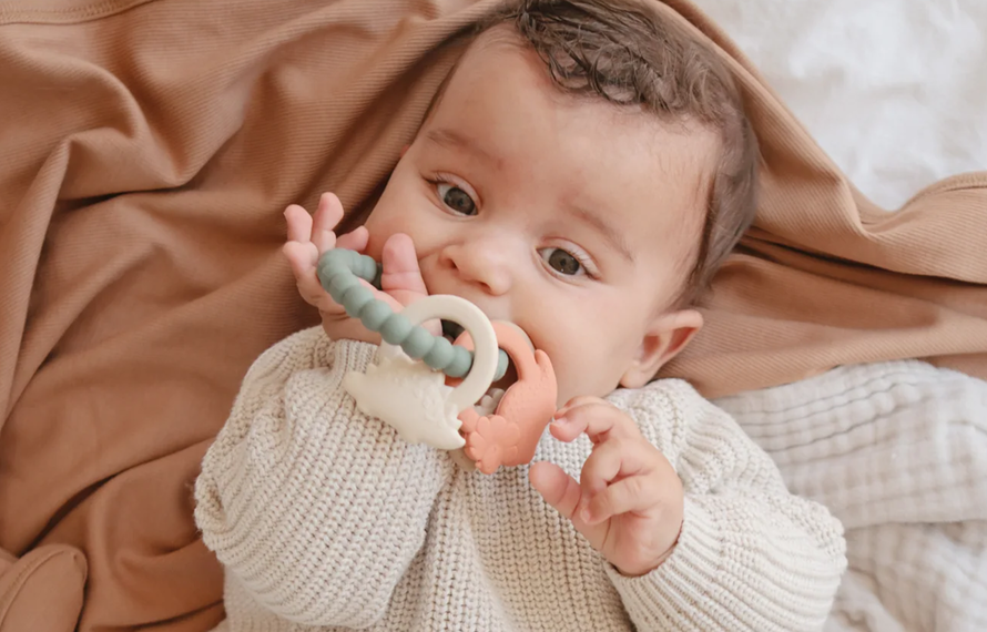 Bijtringen zijn onmisbaar voor je baby's eerste tandjes
