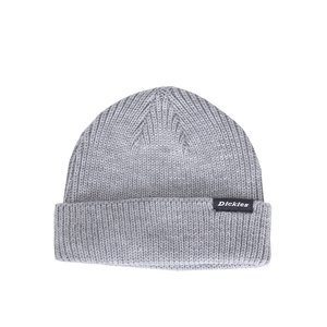 Dickies Copy of Woodworth Beanie Jadeite