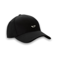 Logo 6 Panel Cap