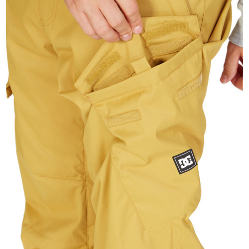 DC Shoes Banshee Technical Snow Pant