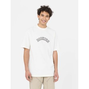 Dickies West Vale S/S T-Shirt Cloud