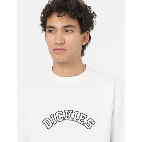 Dickies West Vale S/S T-Shirt Cloud