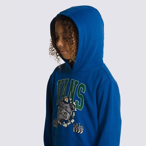 Vans Boys Varsity Bulldog Hoodie True Blue