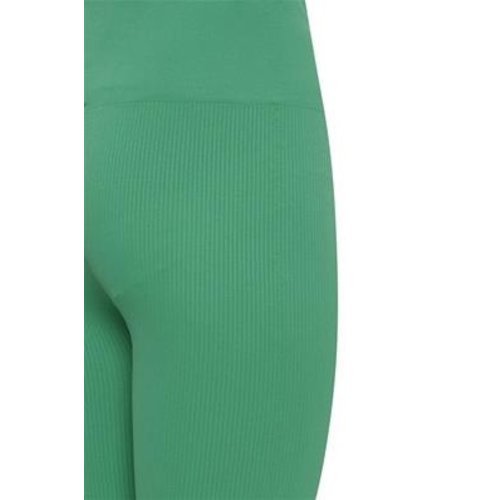 The Jogg Concept JCSahana Legging Mint