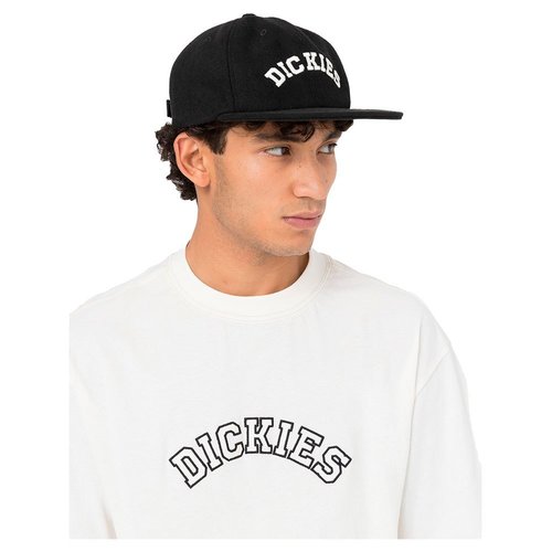 Dickies West Vale Cap Black