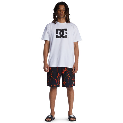 DC Shoes Press On Shorts Flammer