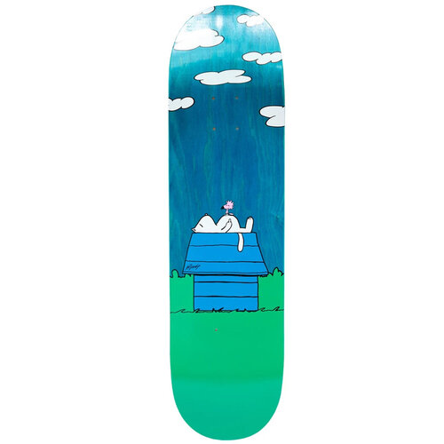 Rip N Dip Not Today Deck 8.25 Rip N Dip Not Today Deck 8.25