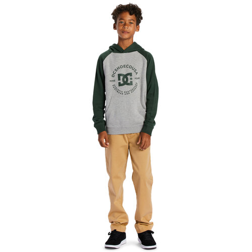 DC Shoes Boys Star Pilot Raglan Hoodie Heather Grey/Sycamore