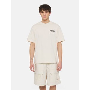 Dickies Beach Tee S/S Whitecap Gray