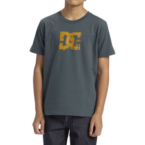 DC Shoes Sketchy Tee Youth
