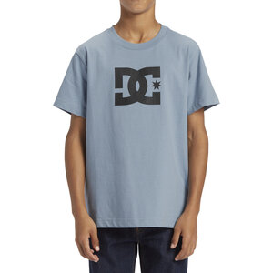 DC Shoes Dc star Ashley Blue S/S