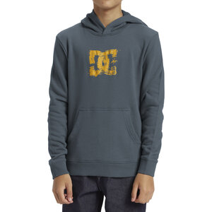 DC Shoes Sketchy Hoodie Kids Stormy Weather