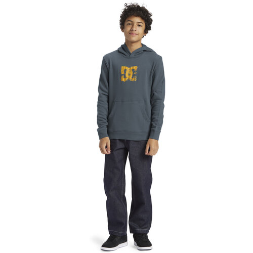 DC Shoes Sketchy Hoodie Kids Stormy Weather