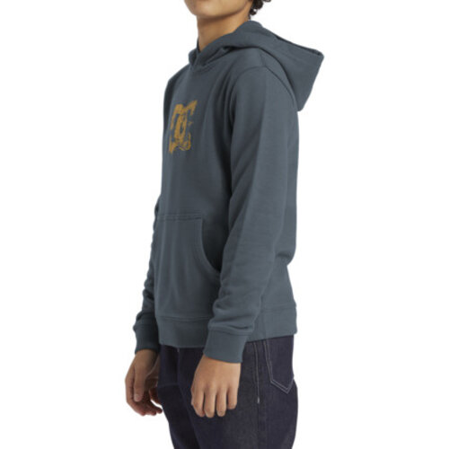 DC Shoes Sketchy Hoodie Kids Stormy Weather