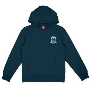 Santa Cruz Youth Hood Youth Screaming Wave Tidal Teal