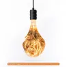 Qub Qub Pendelleuchten-Adapterset für 1-Phasen Schienensystem – E27 Fassung – Schwarz – Höhenverstellbar – LED-kompatibel – Modernes Design für Schienenbeleuchtung Qub Qub Pendelleuchten-Adapterset für 1-Phasen Schienensystem – E27 Fassung – Schwarz – Höhenverstellbar – LED-kompatibel – Modernes Design für Schienenbeleuchtung