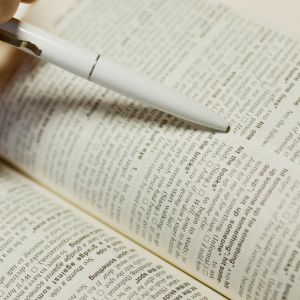 Track Lighting Explained: All Key Terms at a Glance