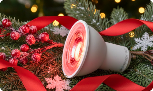 GU10 lichtbron met kerstsfeer