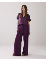 Summum Summum, Trousers Foam uni, Wineberry, Size: