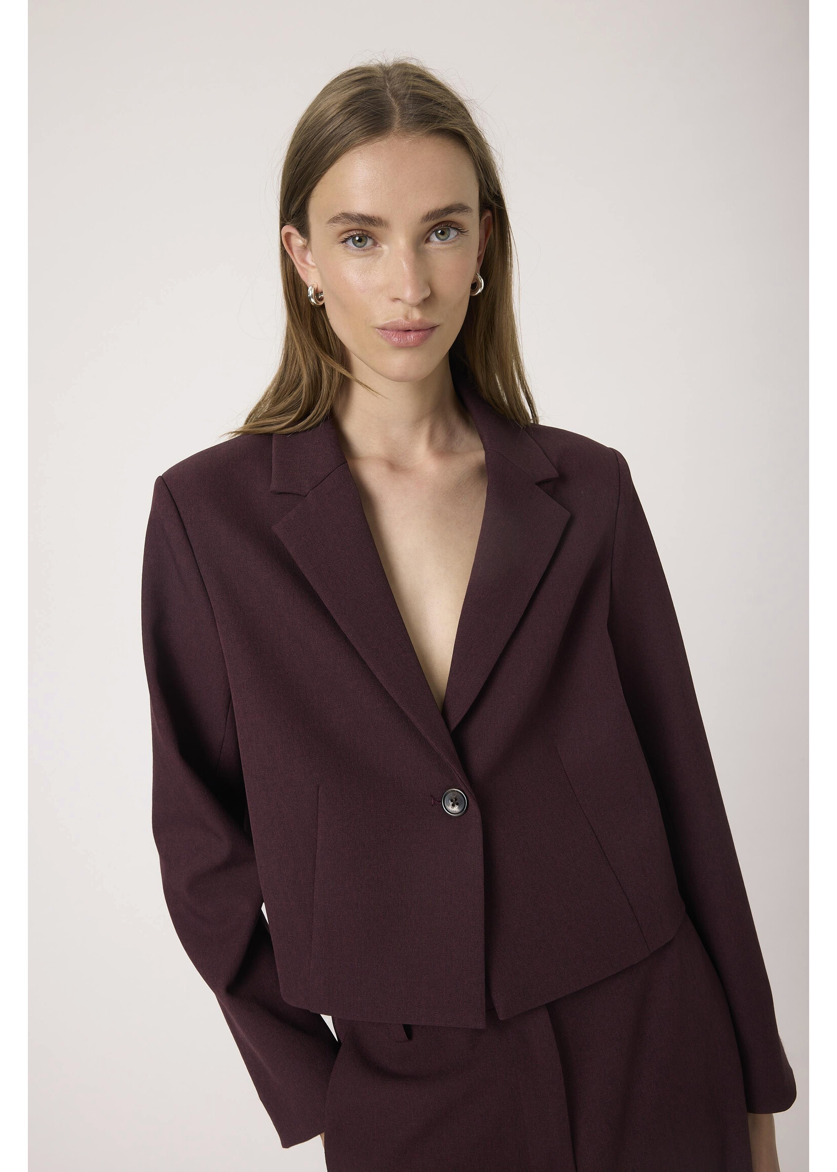 Soaked In Luxury Soaked, SLLilu Corinne Cropped Blazer, Winetasting melange, Size: