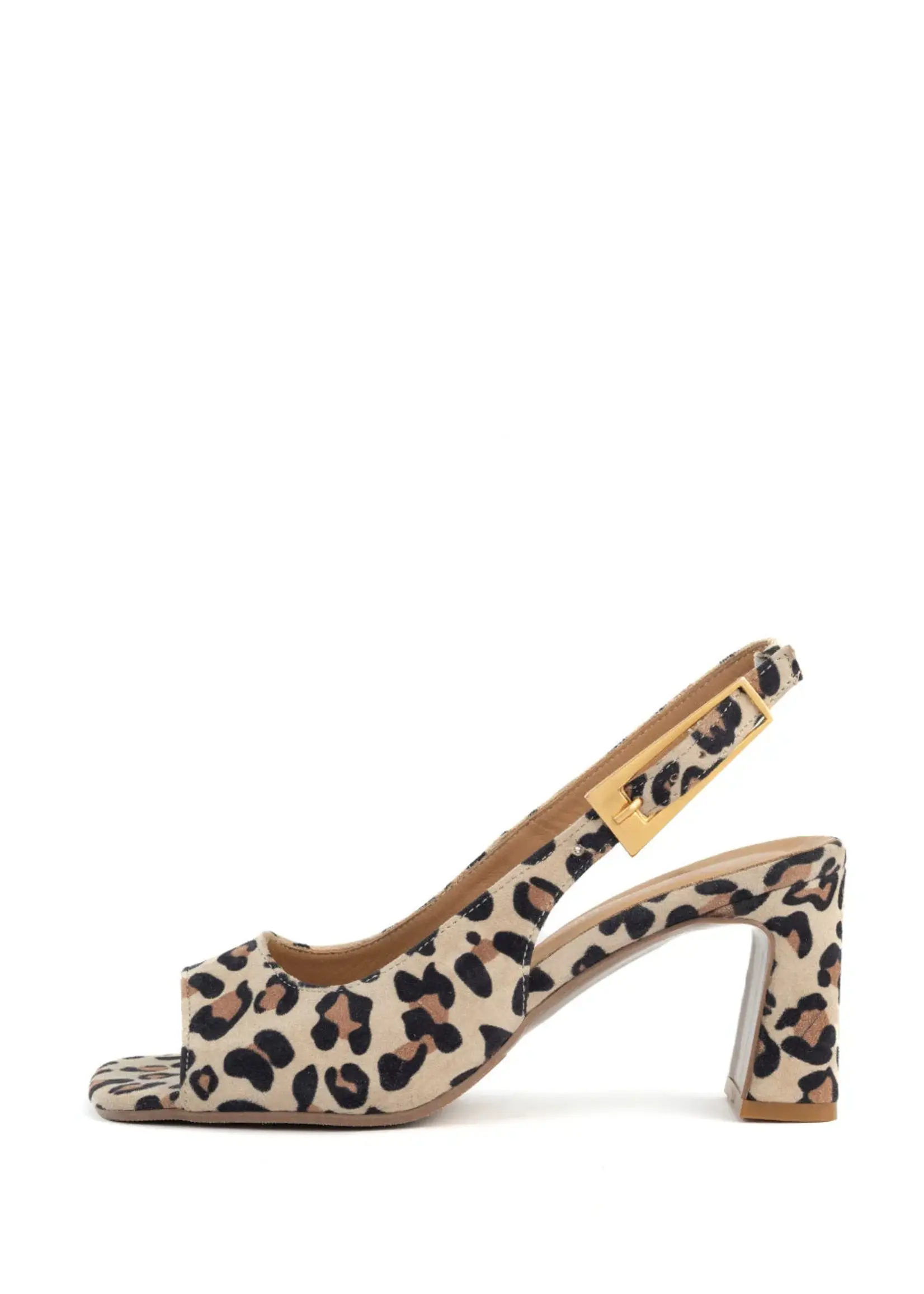 Babouche Babouche, G-BIBA-2, Leopardo, Size: