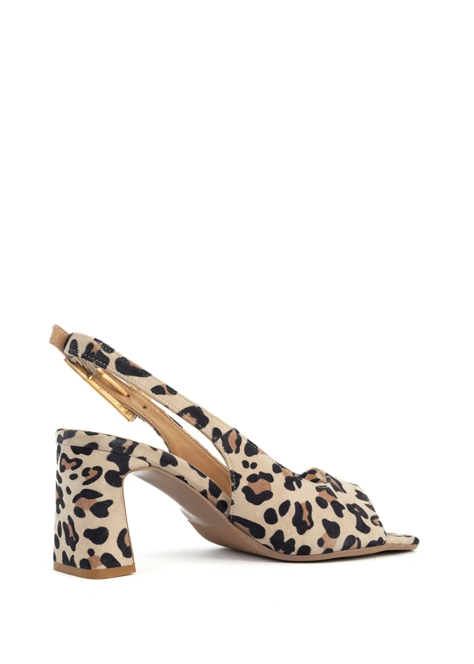 Babouche Babouche, G-BIBA-2, Leopardo, Size: