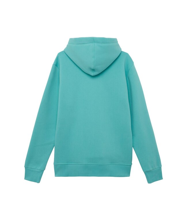 Van One Classic Cars Heren hoodie BUSDRIVER türkis