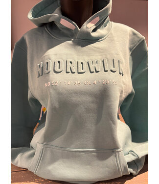 Noordwijk unisex hoodie TEAL MONSTERA