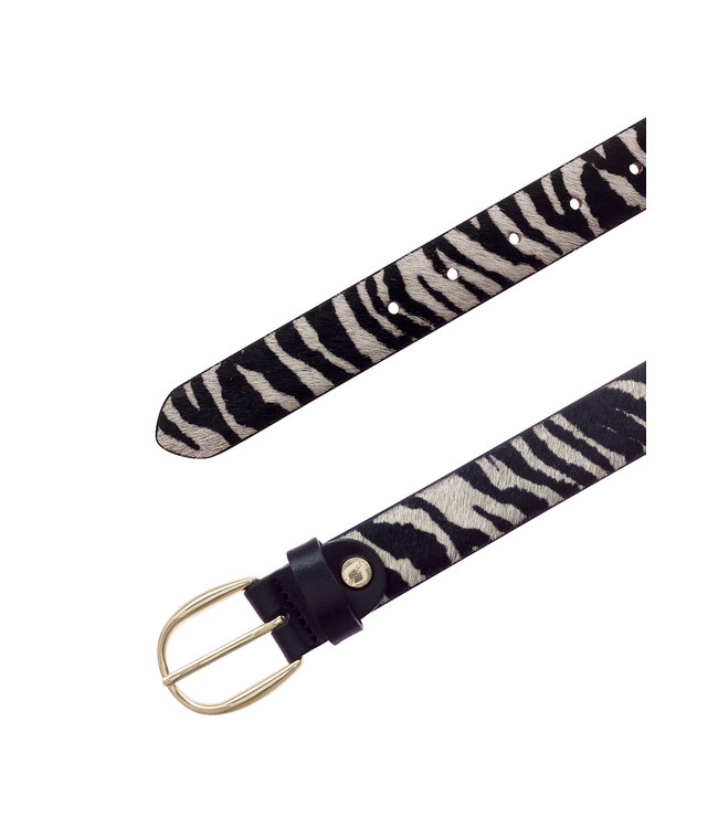 Vanzetti dierenriemen