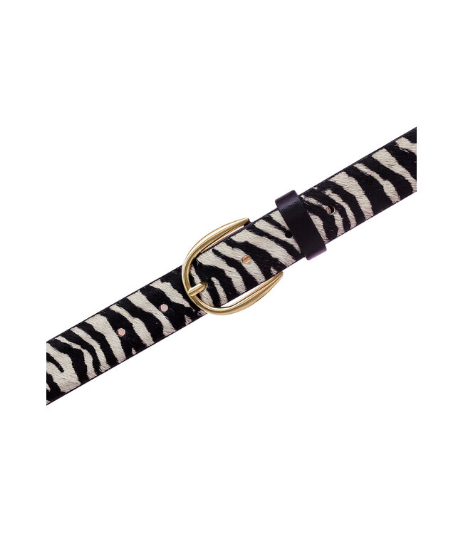 Vanzetti dierenriemen