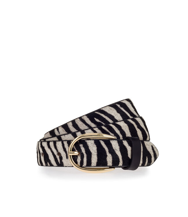 Vanzetti dierenriemen