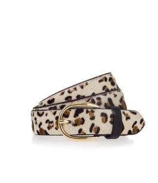 Vanzetti dierenriemen