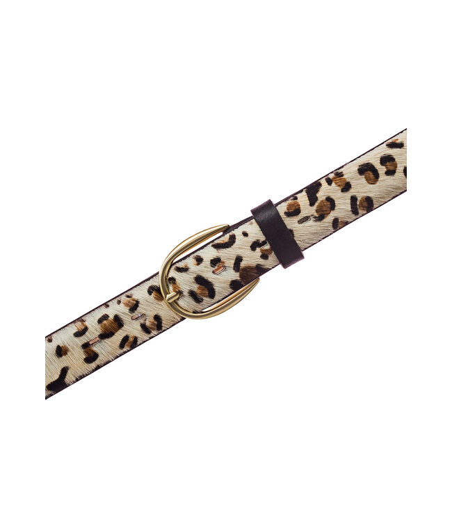 Vanzetti dierenriemen