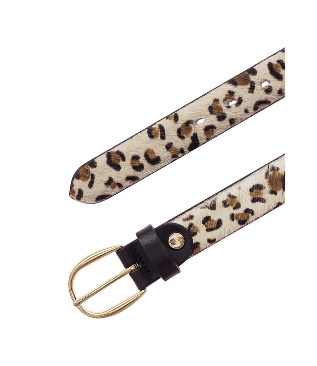 Vanzetti dierenriemen