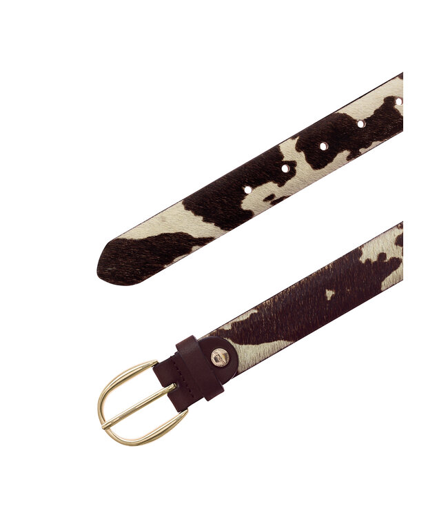 Vanzetti dierenriemen