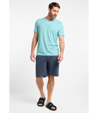 Elbsand Heren t-shirt V-hals Wave Melange