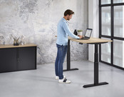 Elektrisch Zit Sta Bureau