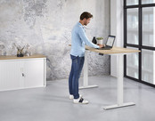 Elektrisch Zit Sta Bureau