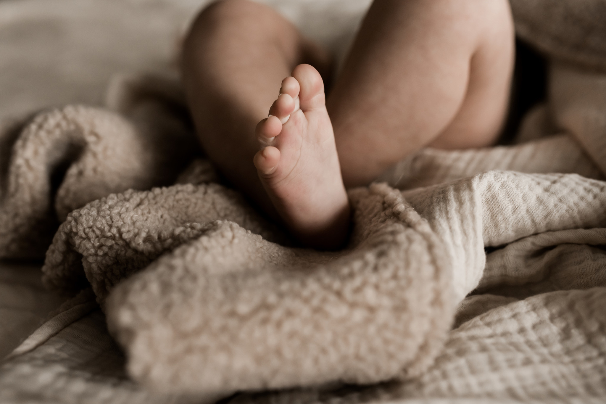 DEAR TEDDY BLANKET - COT-4