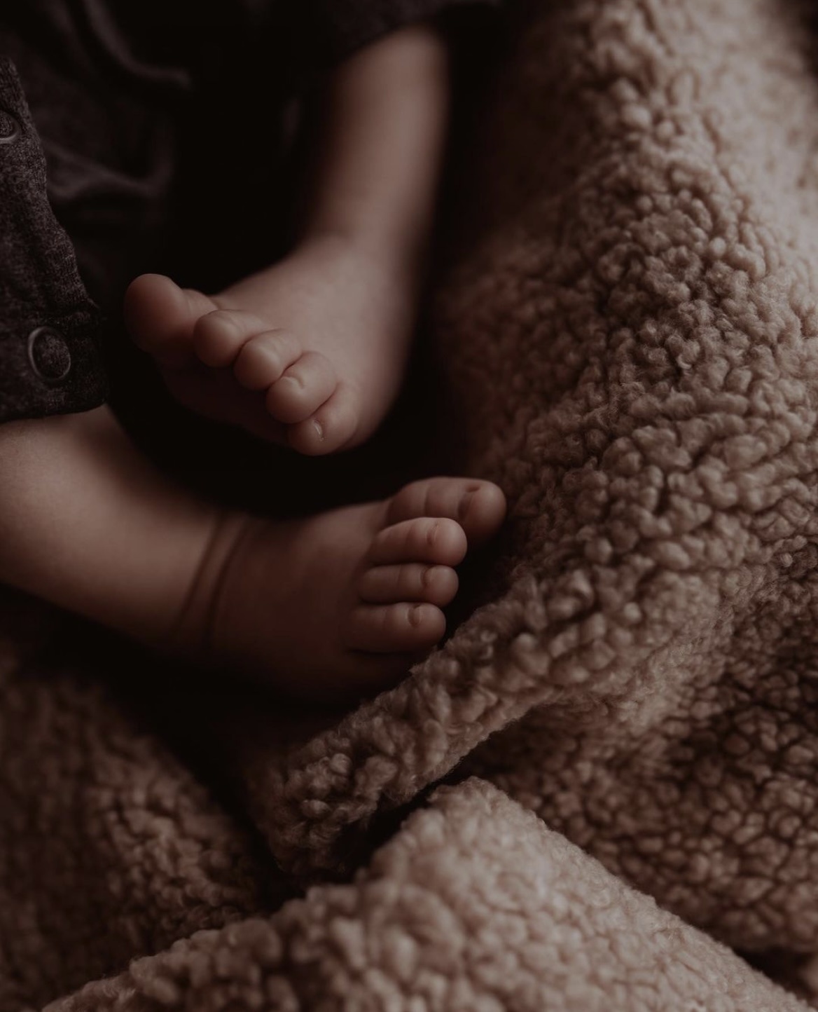 DEAR BROWNIE TEDDY BLANKET - CRIB-3