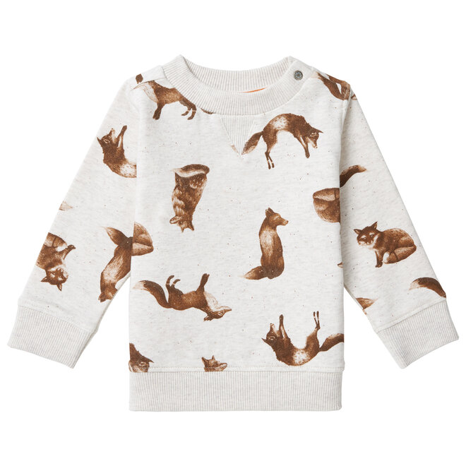 Noppies Baby Boys Sweater Toulon Long Sleeve Allover Print Oatmeal
